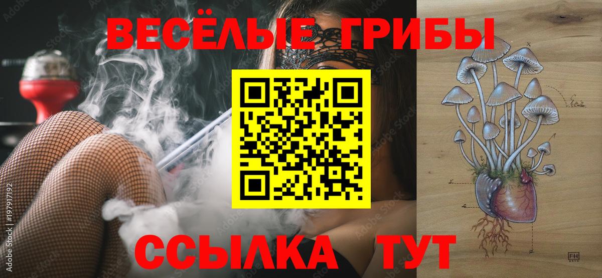 Галлюциногенные грибы ЛСД Острогожск