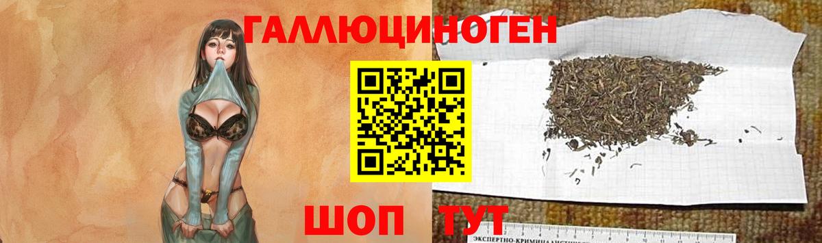 Острогожск  Галлюциногенные грибы мухоморы  Псилоцибиновые грибы Cubensis  Вход с VPN 